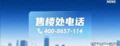 配合投资、扶植、办理和运营上海国际旅逛度假